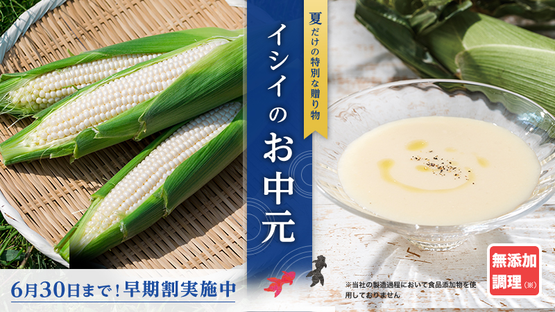 イシイの夏ギフト2024｜無添加調理｜石井食品公式通販