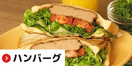 ハンバーグ｜無添加調理｜石井食品公式通販