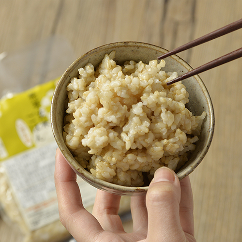【定期便同梱専用】 発芽玄米ごはん 5袋セット（常温品）