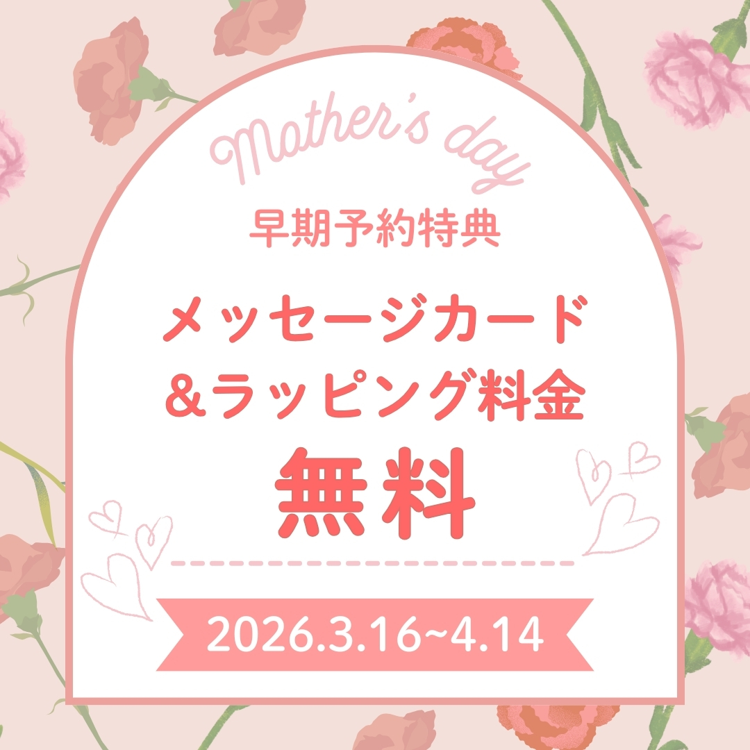 母の日 早期予約特典 石井食品