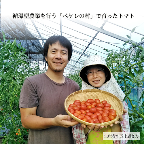 野菜と塩だけで作ったスープ 千葉県南房総産シシリアンルージュトマト 10袋 通販