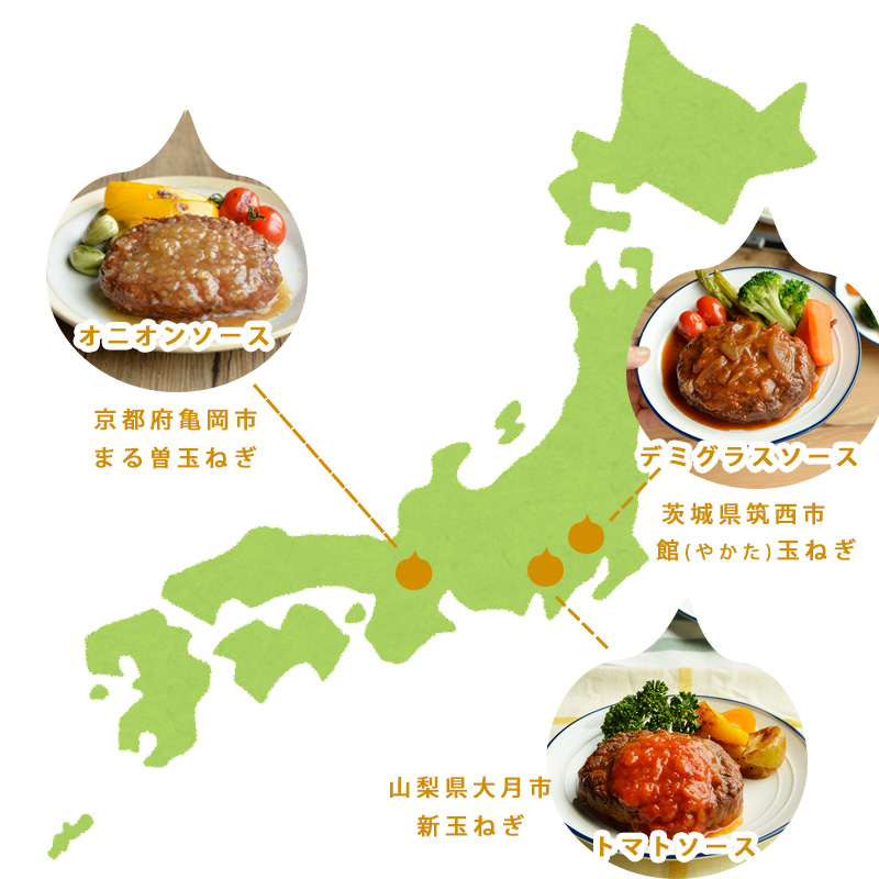 【送料無料】産地別玉ねぎハンバーグ食べ比べ 3種×4袋（京都・山梨・茨城）（冷蔵品）