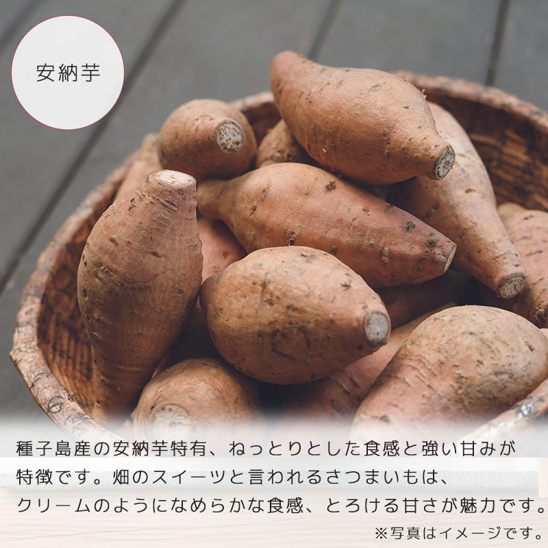 今季販売終了【産直/送料無料】九州さつまいも3種食べ比べセット 約3kg（常温品）