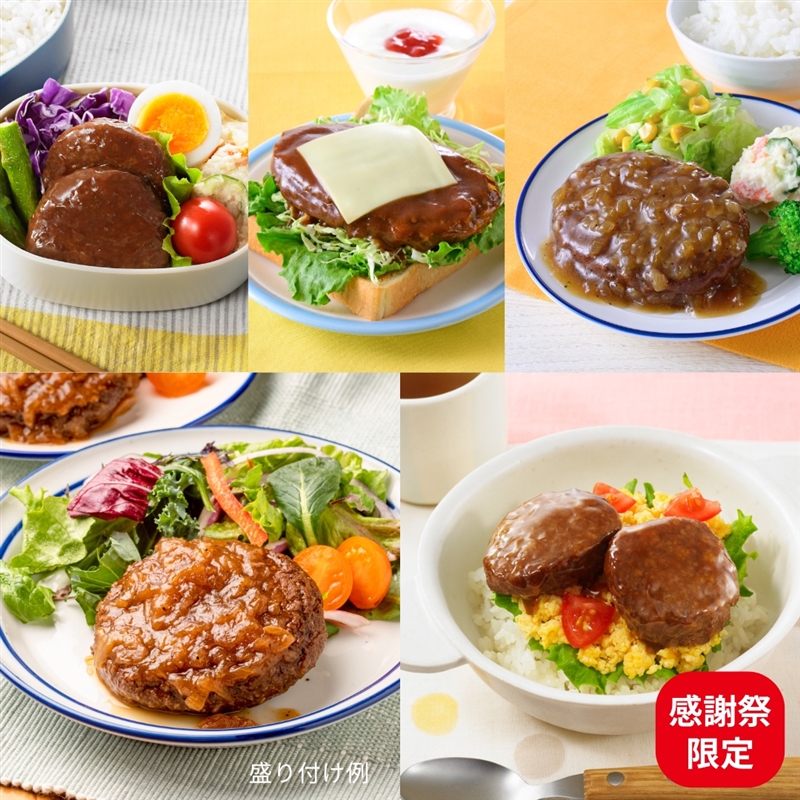 感謝祭第1弾限定】イシイのチキンハンバーグ5種10袋（冷蔵・常温品