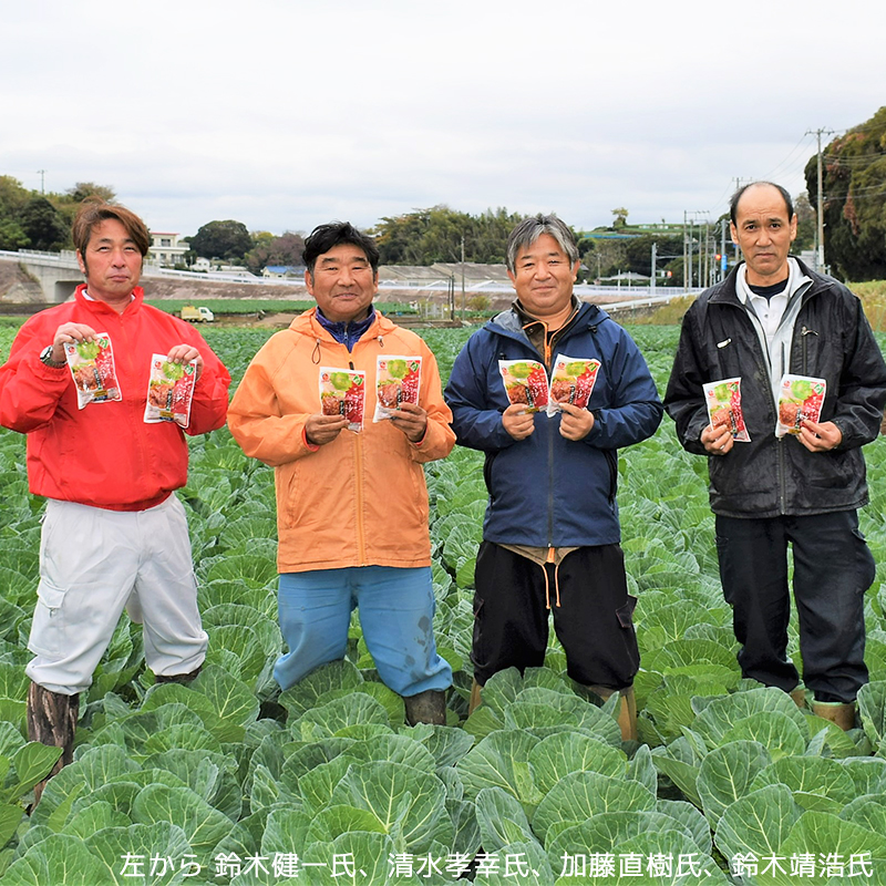 神奈川三浦のキャベツを使ったハンバーグ トマトソース 5袋 通販