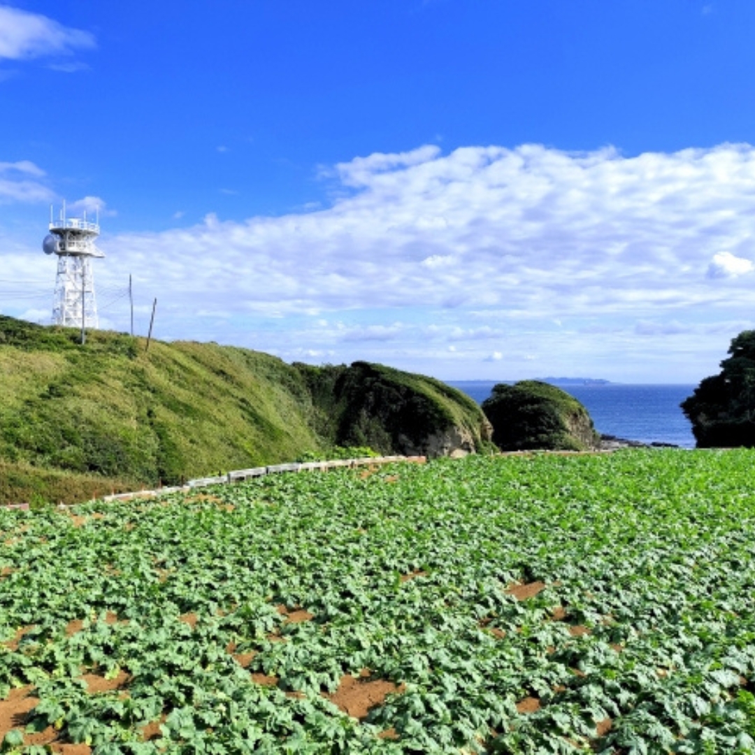 神奈川県三浦市