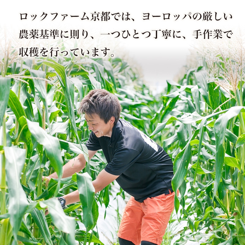 【7月1日出荷分/産地からお届け】京都舞コーンとスープを味わうセット 通販