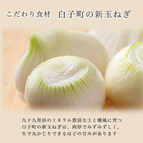 野菜と塩だけで作ったスープ 千葉県白子町産玉ねぎ 5袋 通販