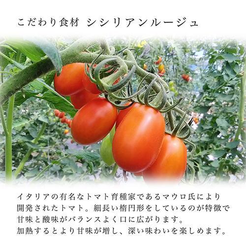 野菜と塩だけで作ったスープ 千葉県南房総産シシリアンルージュトマト 3袋セット（常温・冷蔵便）