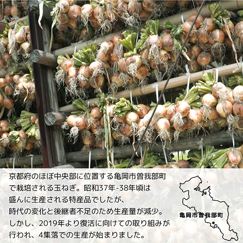 【10月下旬までお届け】京都亀岡曽我部町のまる曽玉ねぎを使ったハンバーグ 5袋（冷蔵品）