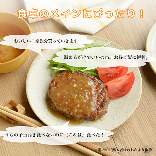 【10月下旬までお届け】京都亀岡曽我部町のまる曽玉ねぎを使ったハンバーグ 5袋 通販