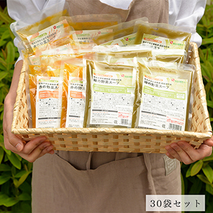 【送料無料】熊本大学名誉教授 前田浩監修 野菜スープ（赤・緑）30袋セット（常温品）