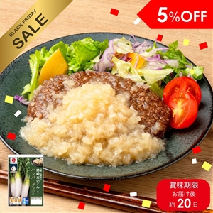 千葉市原市の姉崎だいこんを使ったハンバーグ おろしソース 5袋（冷蔵品）