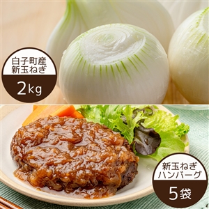 【5月17日からお届け/送料無料】白子町の新玉ねぎとハンバーグのセット（玉ねぎ2kg/ハンバーグ5袋/冷蔵便）｜大玉2Lサイズ