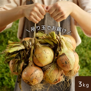 【送料無料】京都亀岡曽我部町のまる曽玉ねぎ 3kg（常温便）