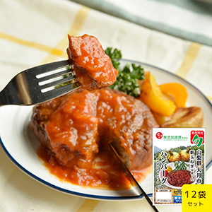 【送料無料】山梨県大月市産新玉ねぎを使った ハンバーグオニオントマトソース 12袋セット（冷蔵品）