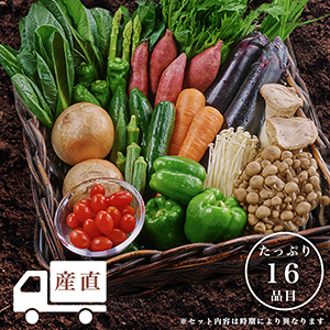 【8月19日出荷分/産地直送】九州産野菜16品目のセット（冷蔵品）