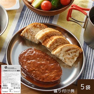 【非常食にも】常温保存チキンハンバーグ 5袋（常温品）