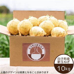 【5月17日からお届け/送料無料】白子町産 新玉ねぎ10kg（常温品）｜大玉2Lサイズ
