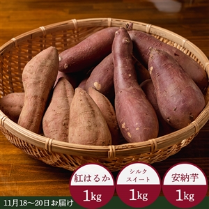 今季販売終了【産直/送料無料】九州さつまいも3種食べ比べセット 約3kg（常温品）