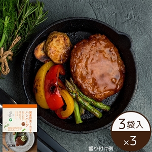 国産野菜と大豆のハンバーグ テリヤキソース（3袋）×3（冷凍便）