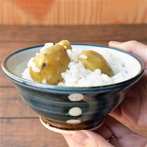 京丹波 西堀志伸さんのごはん茶碗 （呉須蝋抜点文飯碗）（常温品）