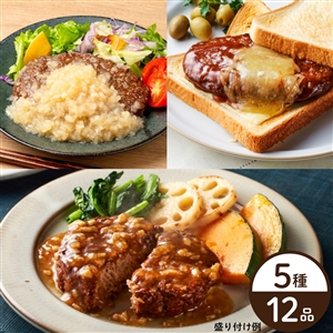 【送料無料】5種のハンバーグ食べ比べセット（定番4種＋千葉市原市の姉崎だいこん）（冷蔵品）