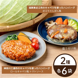 【送料無料】旬キャベツのハンバーグ2種×6袋（トマトソース&近江ちゃんぽん風/冷蔵品）