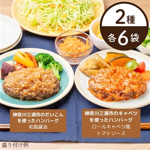  【送料無料】神奈川三浦市の旬野菜を味わうハンバーグセット（キャベツ＆だいこん/2種×6袋/冷蔵品）