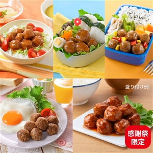 【感謝祭第1弾限定】イシイのミートボール5種10袋（冷蔵品）