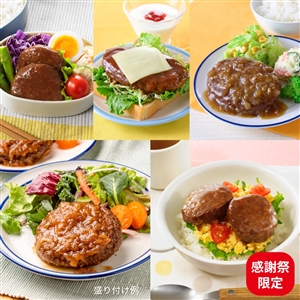【感謝祭第2弾限定】イシイのチキンハンバーグおためし5種10袋（冷蔵品）