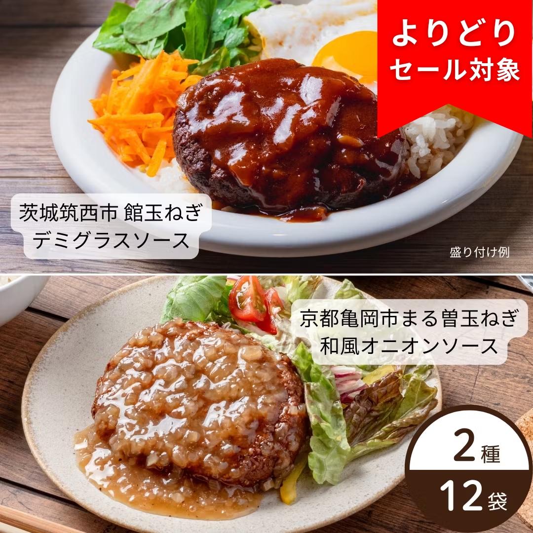 【夏季限定/送料無料】旬の玉ねぎを使ったハンバーグ2種×6袋（茨城・京都/冷蔵品）