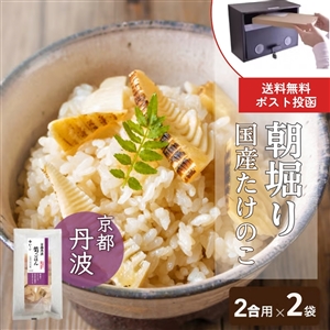 【4月下旬からお届け/送料無料】京都丹波 筍ごはん まぜごはんの素 2合用 2袋(ポスト投函/常温品)_