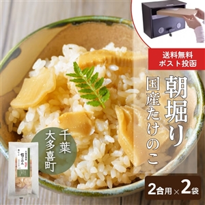 【4月下旬からお届け/送料無料】千葉大多喜町 筍ごはん まぜごはんの素 2合用 2袋(ポスト投函/常温品)_