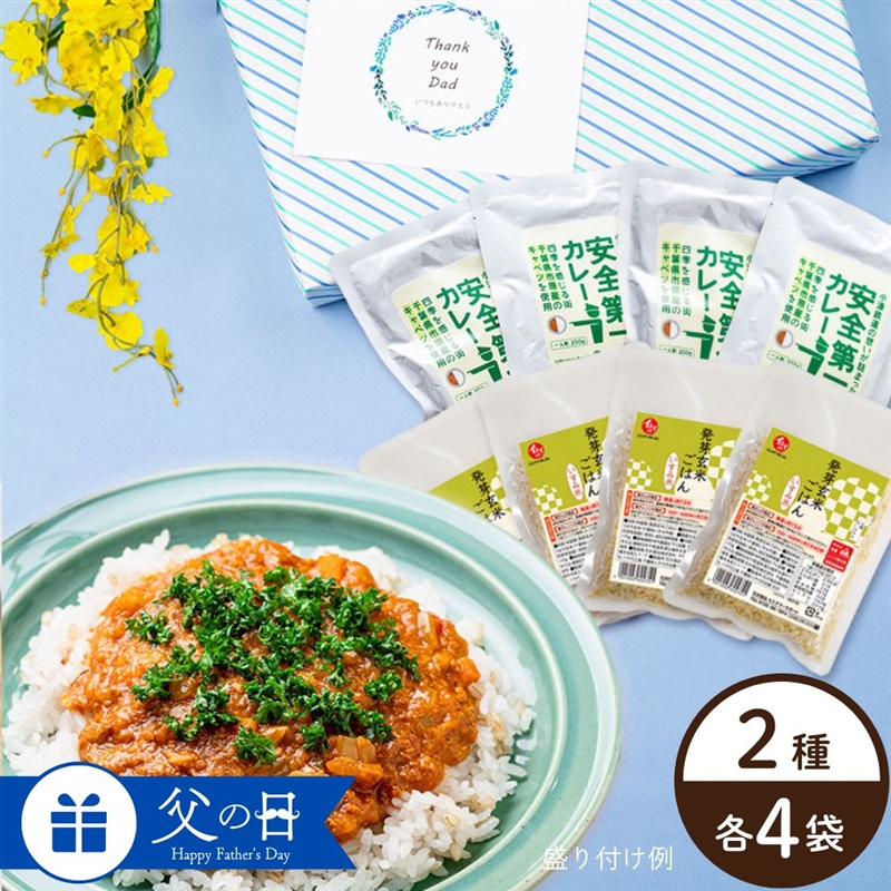 小湊鐵道 安全第一カレーと発芽玄米ごはんセット | 石井食品の父の日ギフト通販 2026
