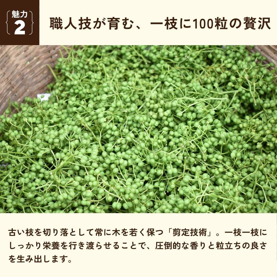 寒暖差が育てる、爽やかな香り（カード2：収穫した山椒）