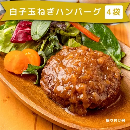 石井食品オンラインストア 3周年記念セット 中身その1 千葉白子町の新玉ねぎをつかったハンバーグ 4袋
