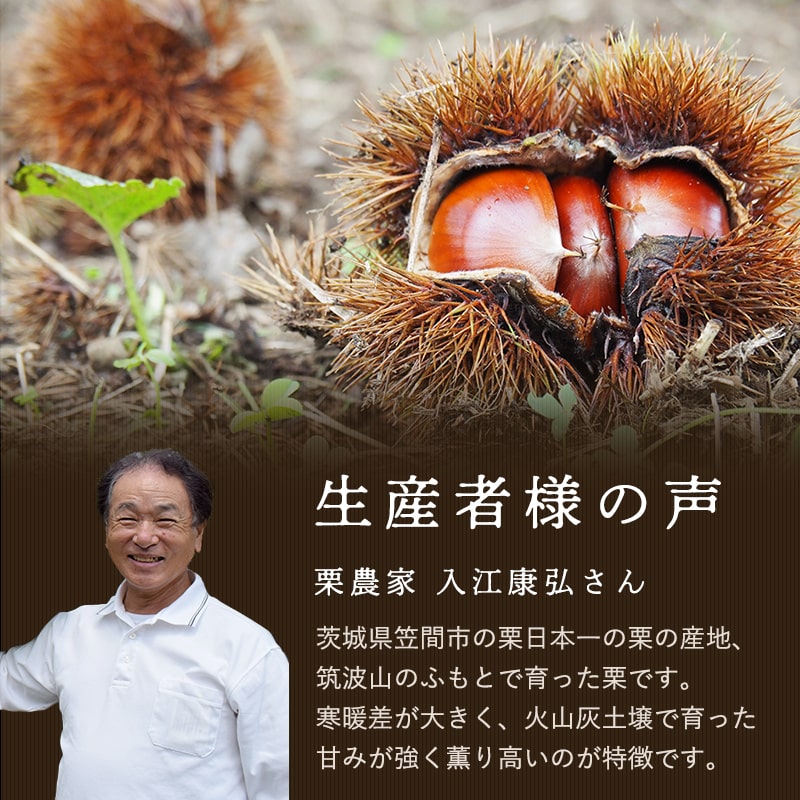茨城県笠間市の栗日本一の栗の産地、筑波山のふもとで育った栗です。寒暖差が大きく、火山灰土壌で育った甘みが強く薫り高いのが特徴です。