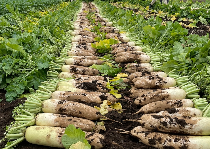 その時期だけの旬の素材で季節を感じる贈り物