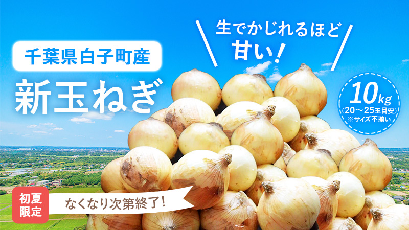 新玉ねぎ｜無添加調理｜石井食品公式通販