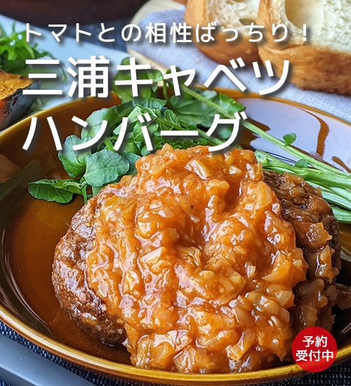 三浦キャベツハンバーグトマトソース｜無添加調理｜石井食品公式通販