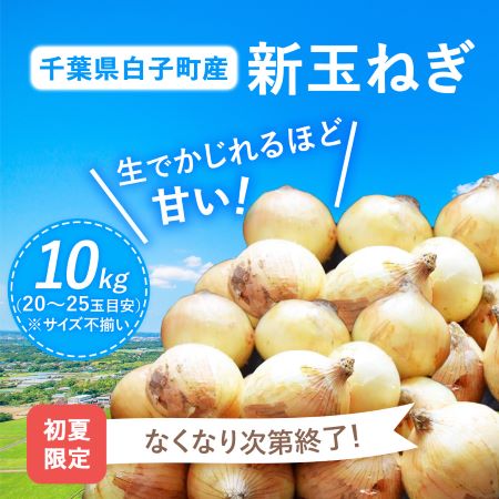 白子玉ねぎ｜無添加調理｜石井食品公式通販