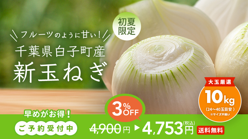 新玉ねぎ｜無添加調理｜石井食品公式通販