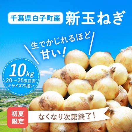 白子玉ねぎ｜無添加調理｜石井食品公式通販