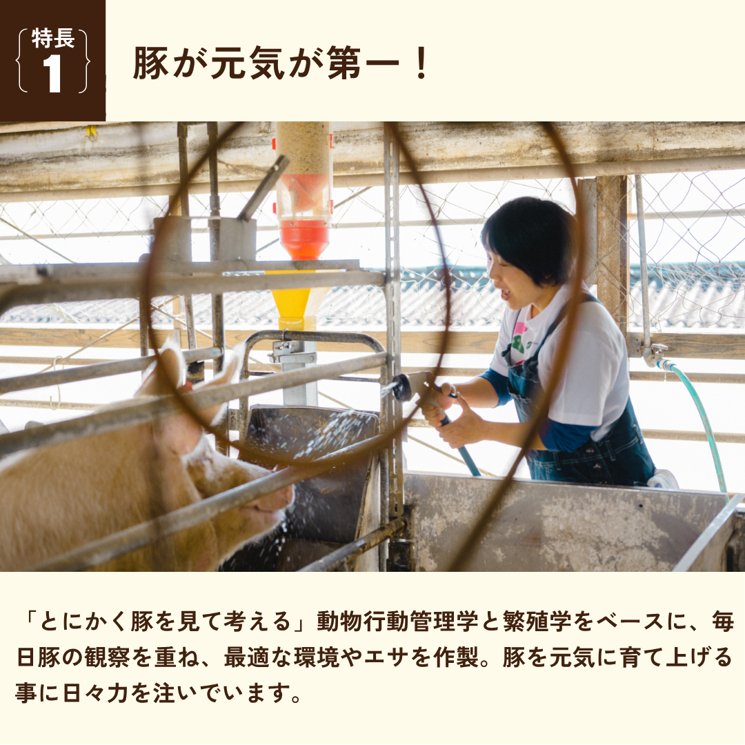 豚が元気が第一