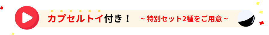 【石井食品公式オンラインストア限定｜最大18％OFF】感謝祭2025