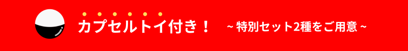 【石井食品公式オンラインストア限定｜最大18％OFF】感謝祭2025